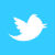 Twitter logo - bird
