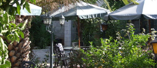 The garden in the Guest House in the grounds of the Anglican Cathedral in Jerusalem