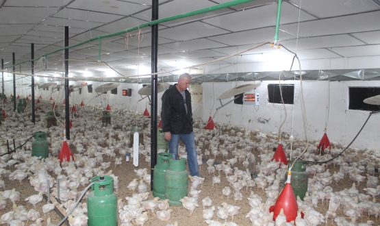 When Mission is Chicken-feed!