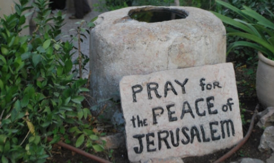 A Week of Contrasts in Jerusalem