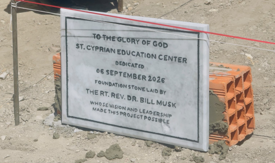 Theological Education: A Coat of Many Colours