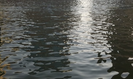 After the Flood