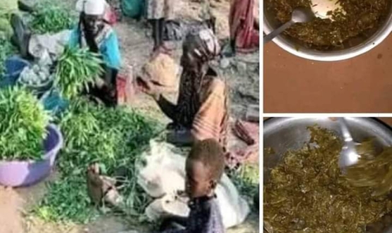 Eating Grass:the Gambella Refugee Crisis