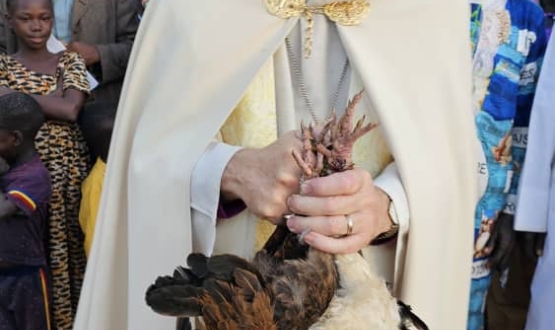 Accepting the Chickens and Challenges of Chad