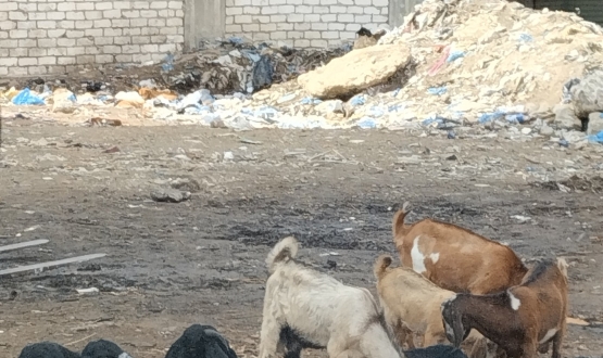 Warm-hearted in Alex