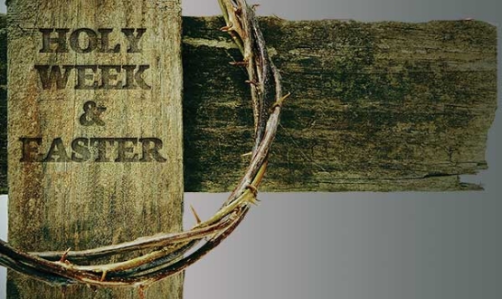 Follow Archbishop Michael Lewis through Holy Week