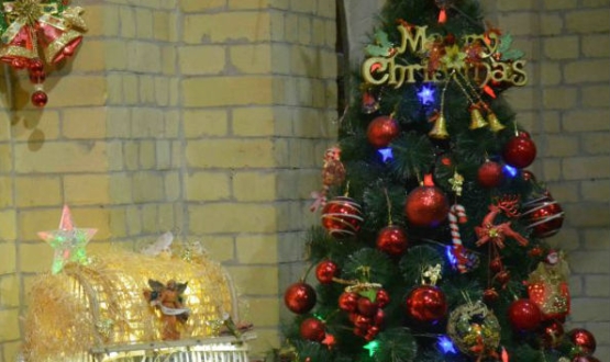 Bridges to Bethlehem - Christmas Videos