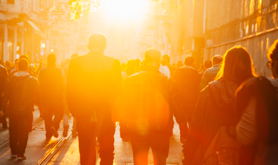 Now put your Energy into Peacemaking:  Diocesan Response to Ceasefire
