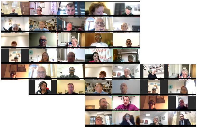 series of pictures of Synod on zoom