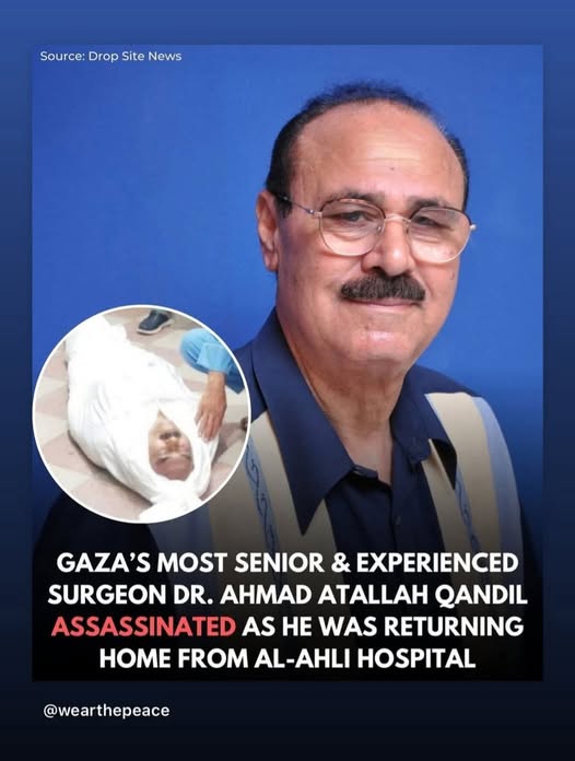 Dr Qandil