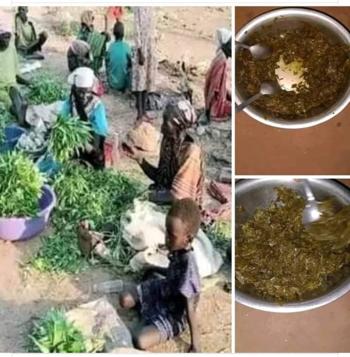 A collage of pictures of hungry children, including a dish apparently made from leaves