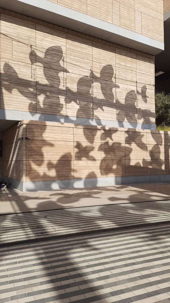 Shadows in 'The Blue Zone.'